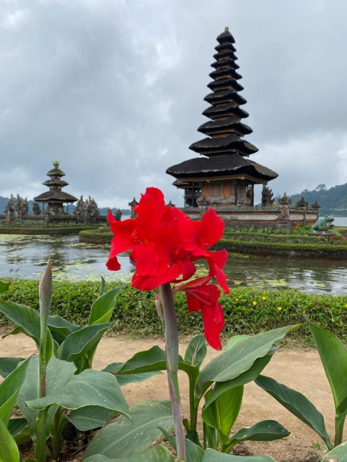 Wina Ubud B&B Kültér fotó